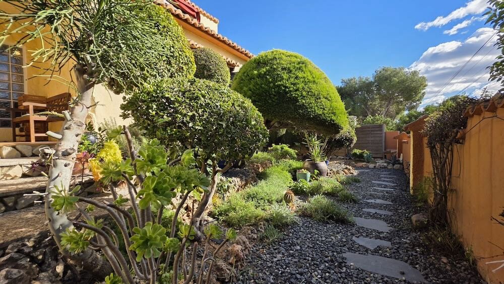 Property 2438 - Image 19